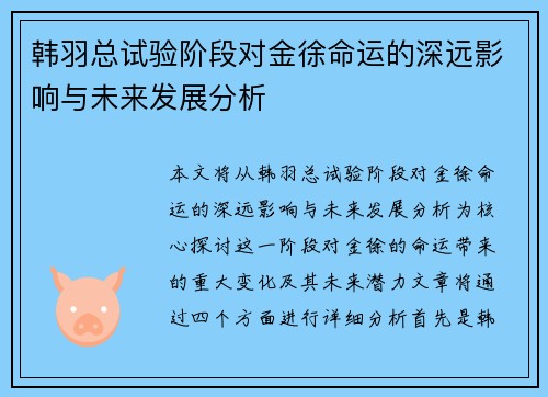 韩羽总试验阶段对金徐命运的深远影响与未来发展分析 韩羽总试验阶段对金徐命运的深远影响与未来发展分析